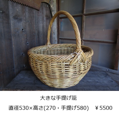 �傫�Ȏ����