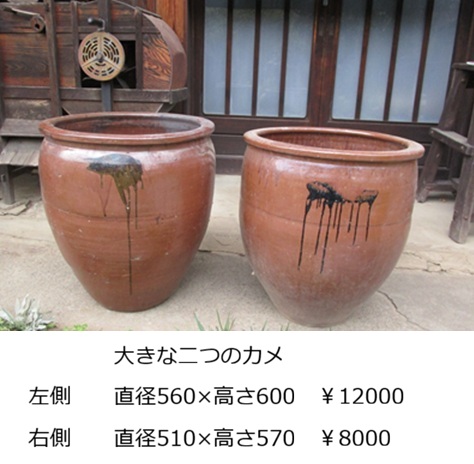 �傫�ȃJ��